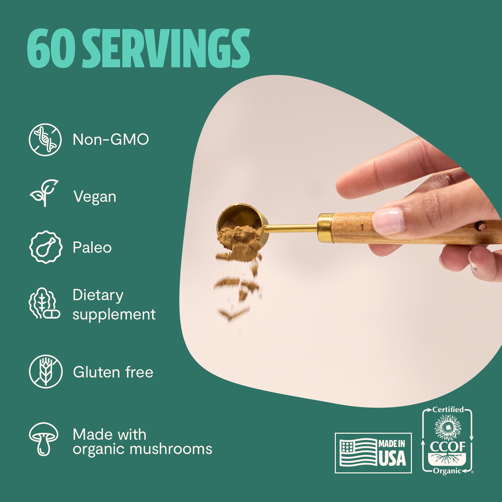 MushroomMind: Ultimate Nootropic Focus Formula - Health-Care by Handbags Specialist Headquarter | Available at Handbags Specialist Headquarter