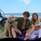 RhinoGrip Aqua: Double Handle Reflective Dog Leash -  by Handbags Specialist Headquarter | Available at Handbags Specialist Headquarter