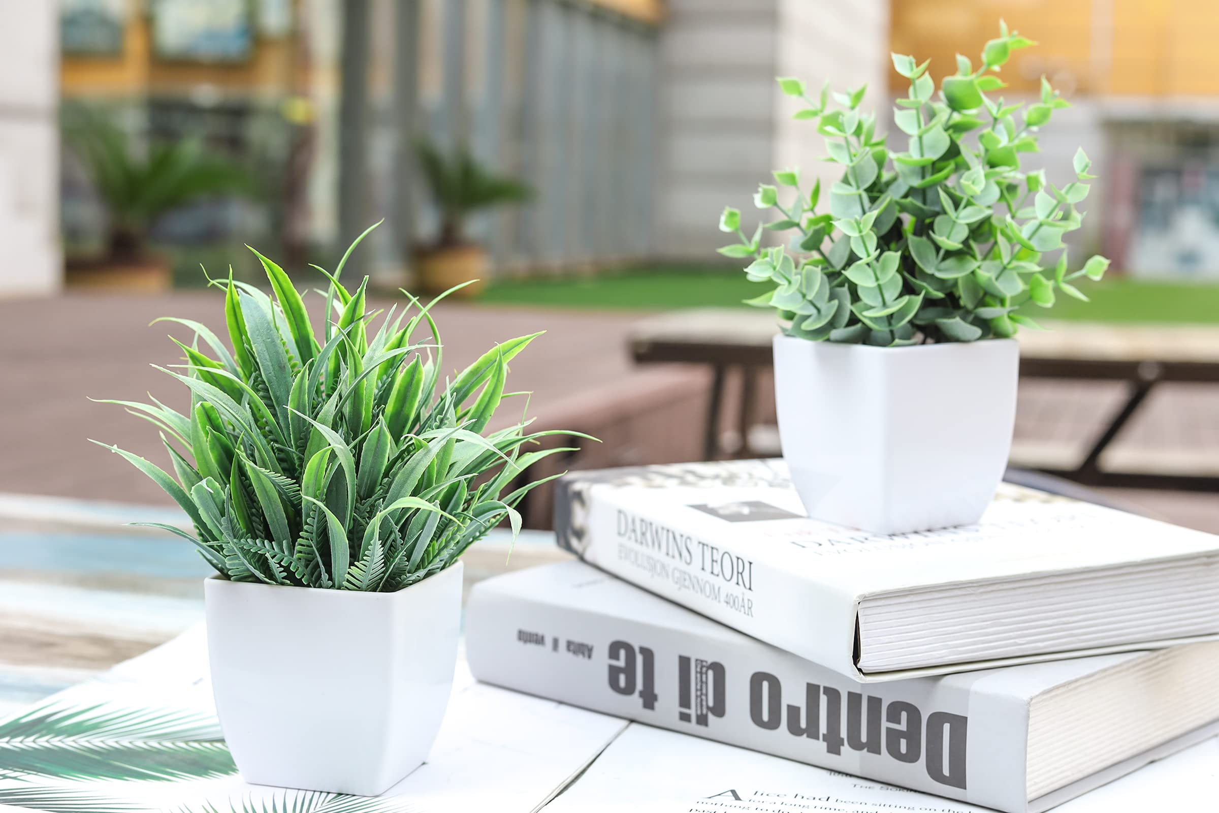 Rose Mini Potted Faux Plants - 2 Pack Decor - Decor by Handbags Specialist Headquarter | Available at Handbags Specialist Headquarter