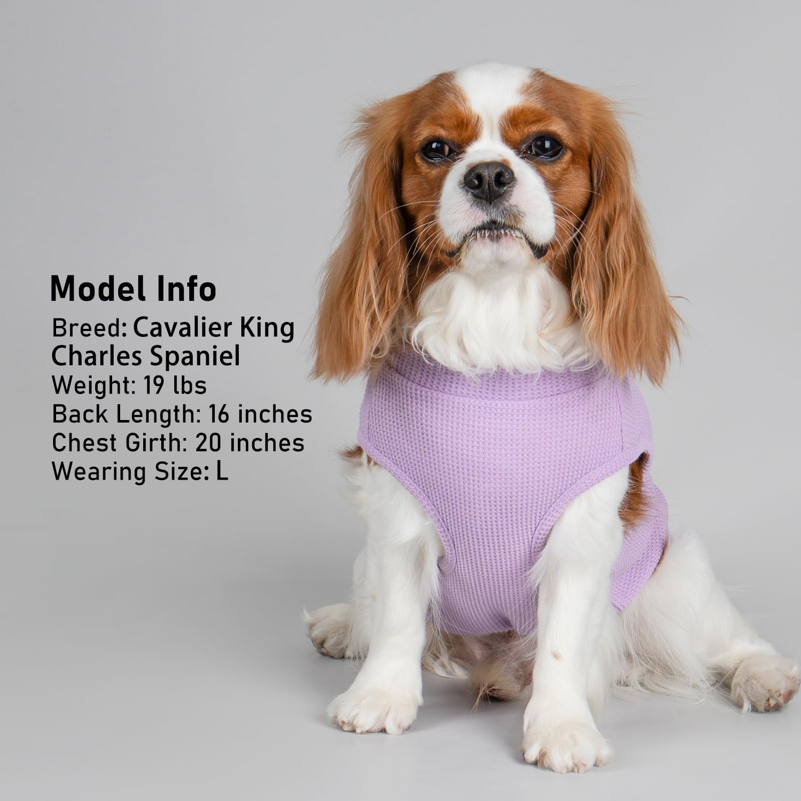 PlaidPup Waffle Vest: Soft, Stretchy, & Cute! - Pet Supplies by Handbags Specialist Headquarter | Available at Handbags Specialist Headquarter