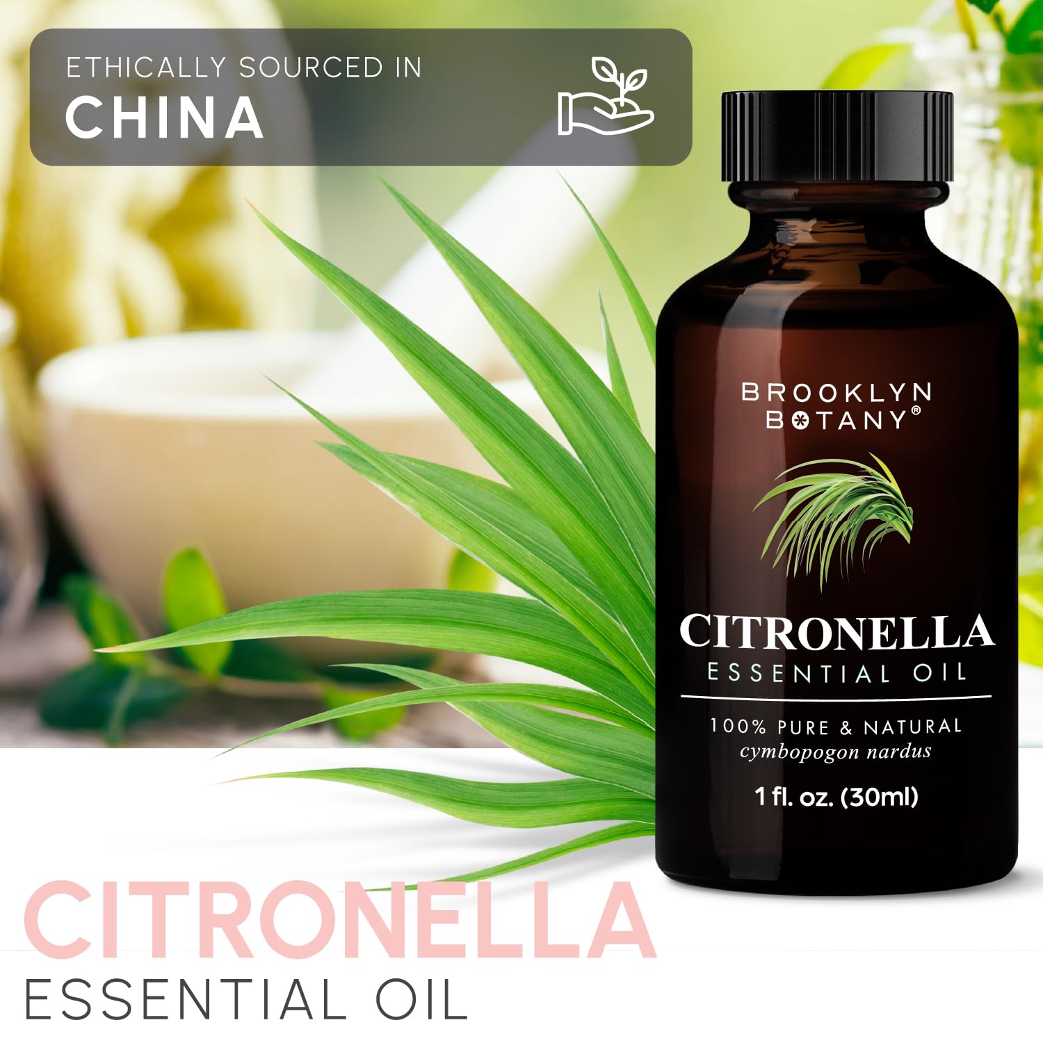 Brooklyn Botany Premium Lavender Oil - 4 Fl Oz - Health Care by Handbags Specialist Headquarter | Available at Handbags Specialist Headquarter