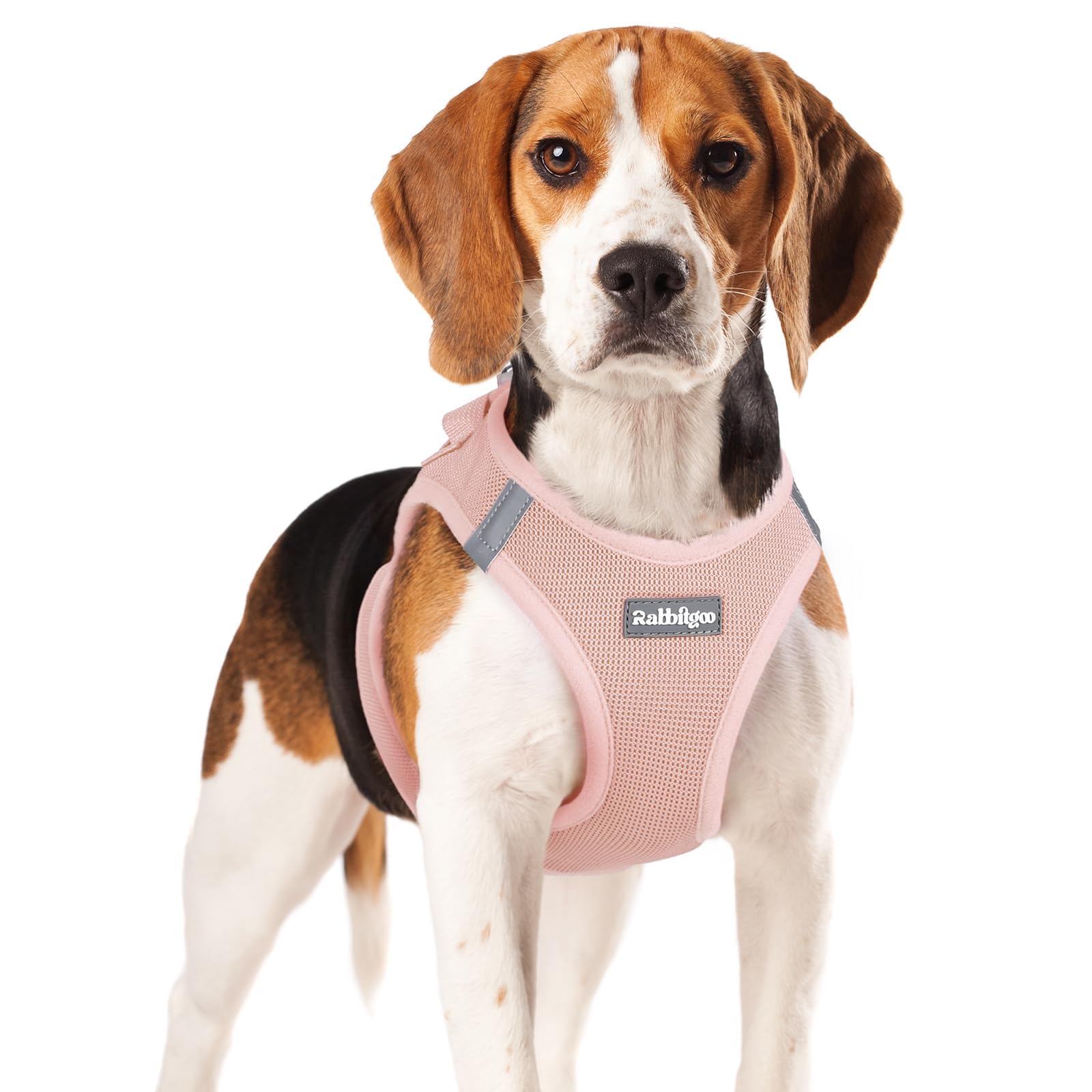 BunnyStep: Reflective Mesh Harness for Small Dogs -  by Handbags Specialist Headquarter | Available at Handbags Specialist Headquarter