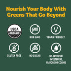 GreenBoost Superfood Smoothie Mix - Unflavored Bliss - Health Care by Handbags Specialist Headquarter | Available at Handbags Specialist Headquarter