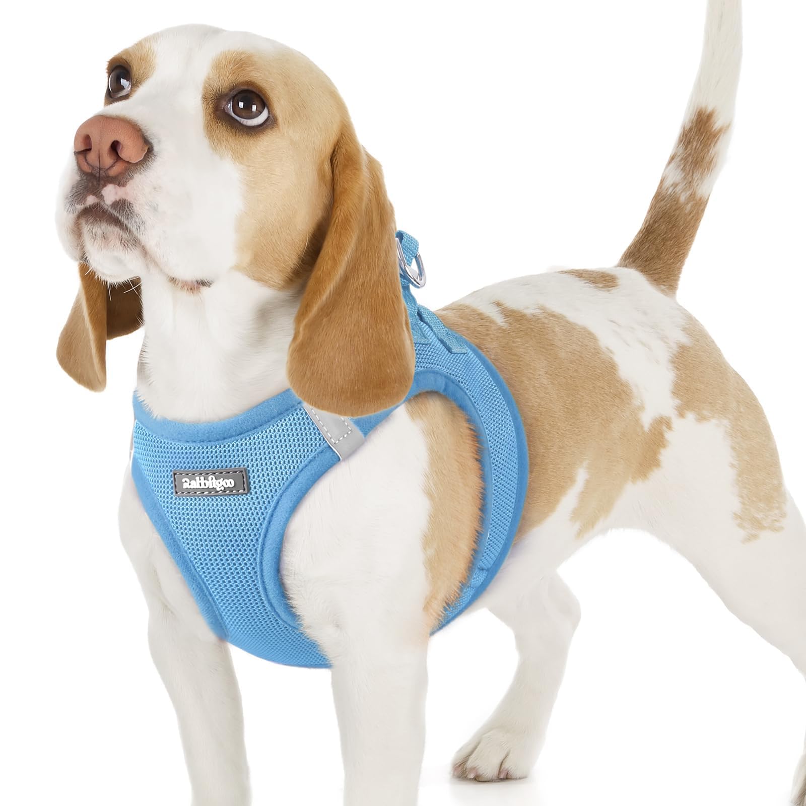BunnyStep: Reflective Mesh Harness for Small Dogs -  by Handbags Specialist Headquarter | Available at Handbags Specialist Headquarter