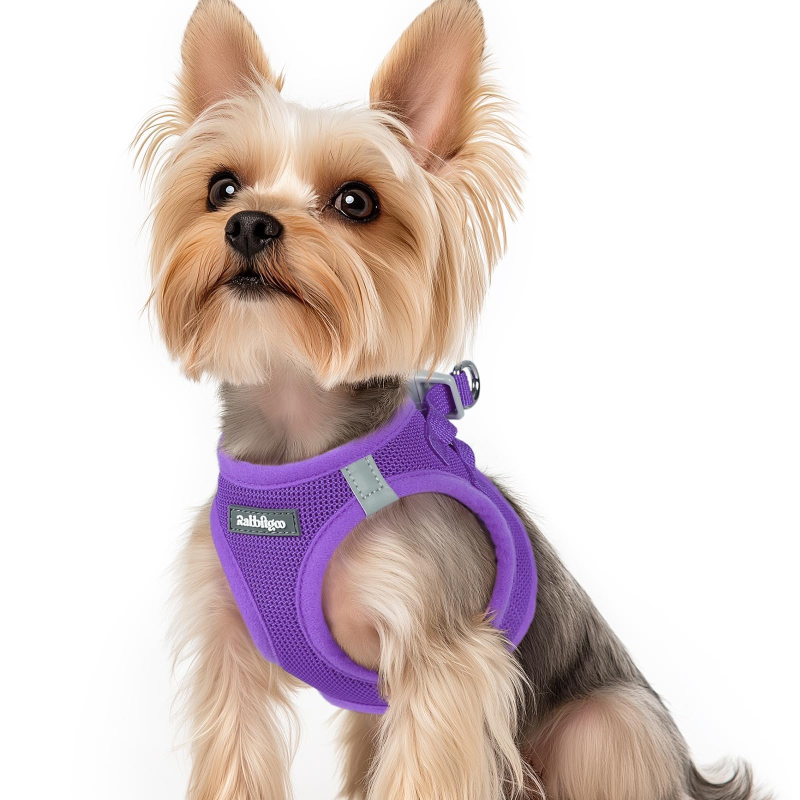 BunnyStep: Reflective Mesh Harness for Small Dogs -  by Handbags Specialist Headquarter | Available at Handbags Specialist Headquarter
