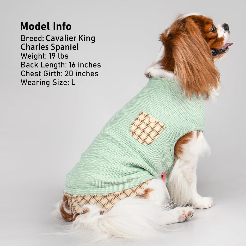 PlaidPup Waffle Vest: Soft, Stretchy, & Cute! - Pet Supplies by Handbags Specialist Headquarter | Available at Handbags Specialist Headquarter