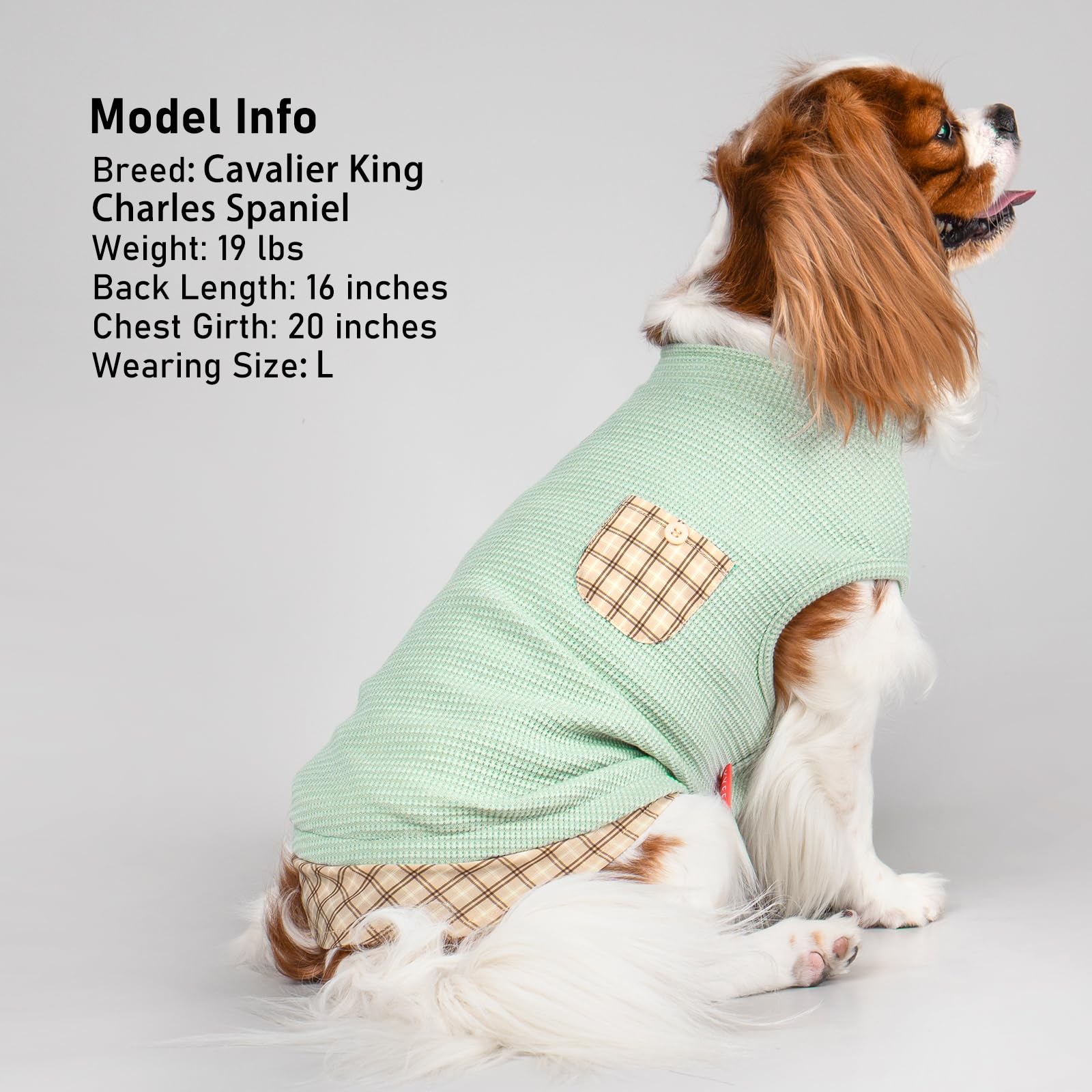 PlaidPup Waffle Vest: Soft, Stretchy, & Cute! - Pet Supplies by Handbags Specialist Headquarter | Available at Handbags Specialist Headquarter