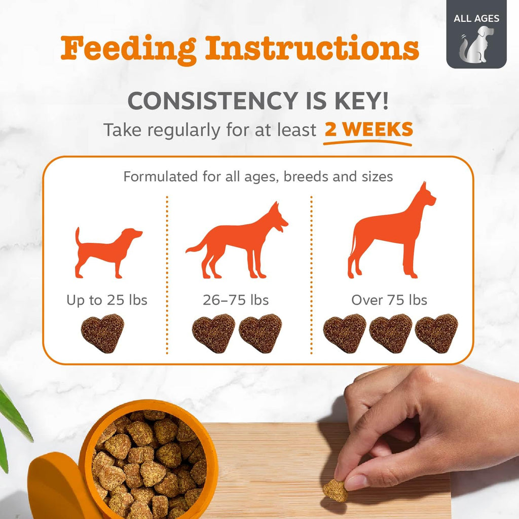 Zesty Paws Itch & Allergy Relief Chews - Lamb 90ct -  by Handbags Specialist Headquarter | Available at Handbags Specialist Headquarter