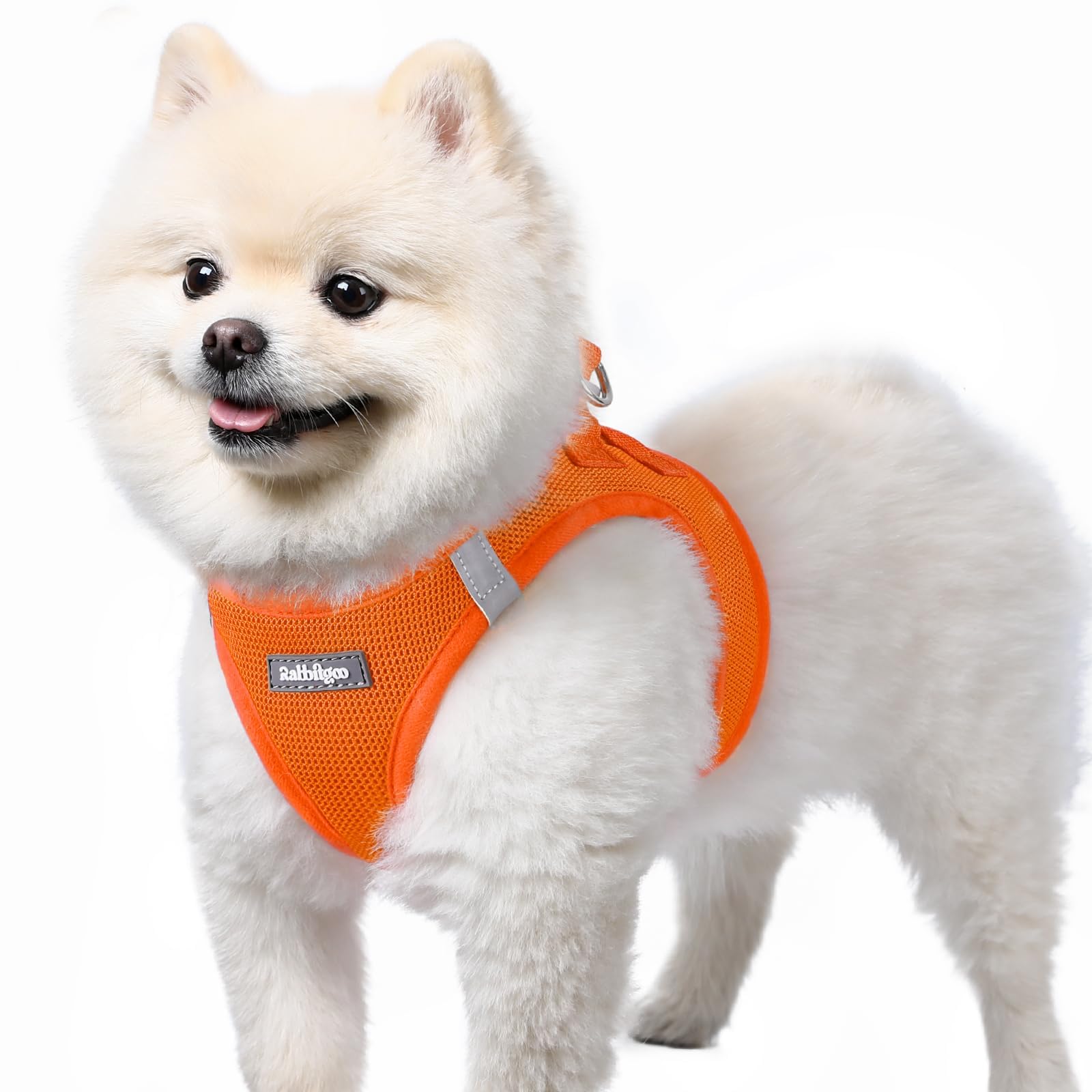 BunnyStep: Reflective Mesh Harness for Small Dogs -  by Handbags Specialist Headquarter | Available at Handbags Specialist Headquarter