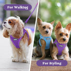BunnyStep: Reflective Mesh Harness for Small Dogs -  by Handbags Specialist Headquarter | Available at Handbags Specialist Headquarter