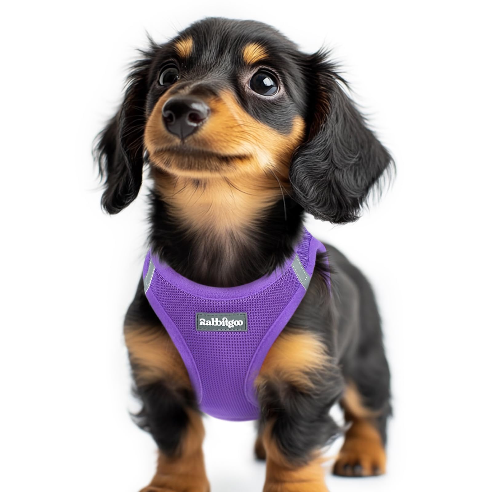 BunnyStep: Reflective Mesh Harness for Small Dogs -  by Handbags Specialist Headquarter | Available at Handbags Specialist Headquarter