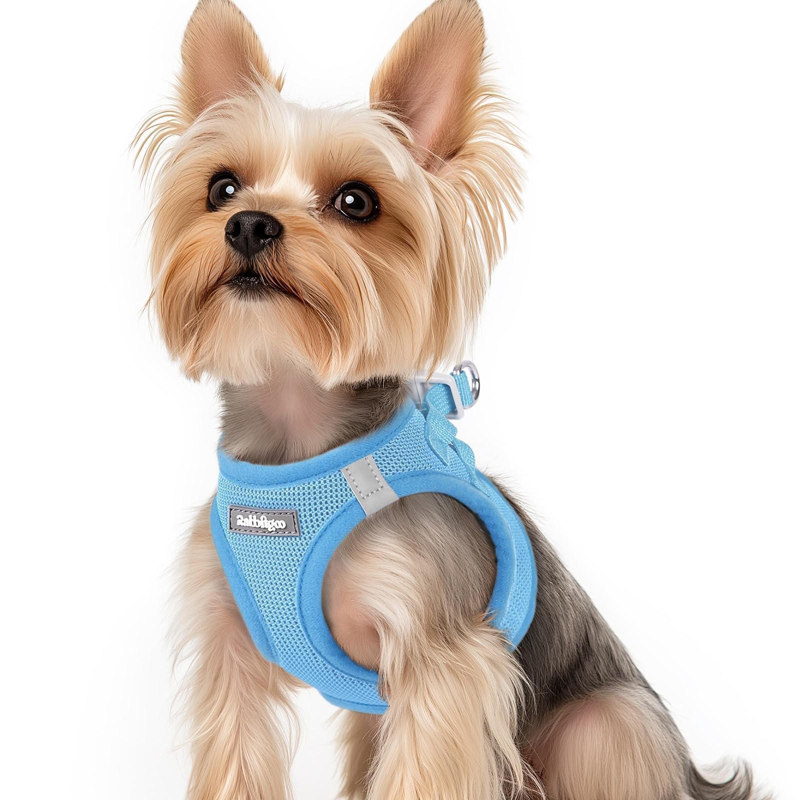BunnyStep: Reflective Mesh Harness for Small Dogs -  by Handbags Specialist Headquarter | Available at Handbags Specialist Headquarter