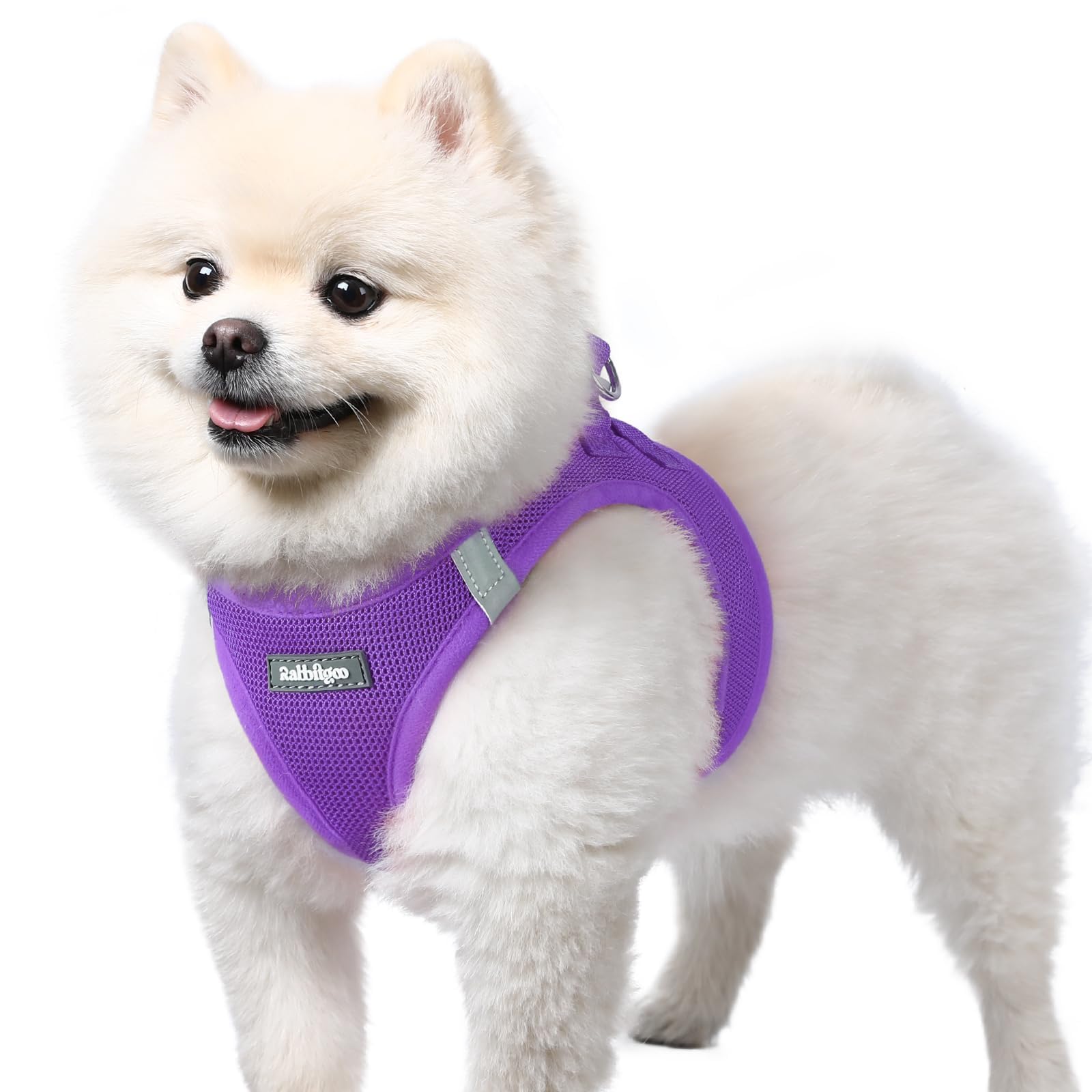 BunnyStep: Reflective Mesh Harness for Small Dogs -  by Handbags Specialist Headquarter | Available at Handbags Specialist Headquarter