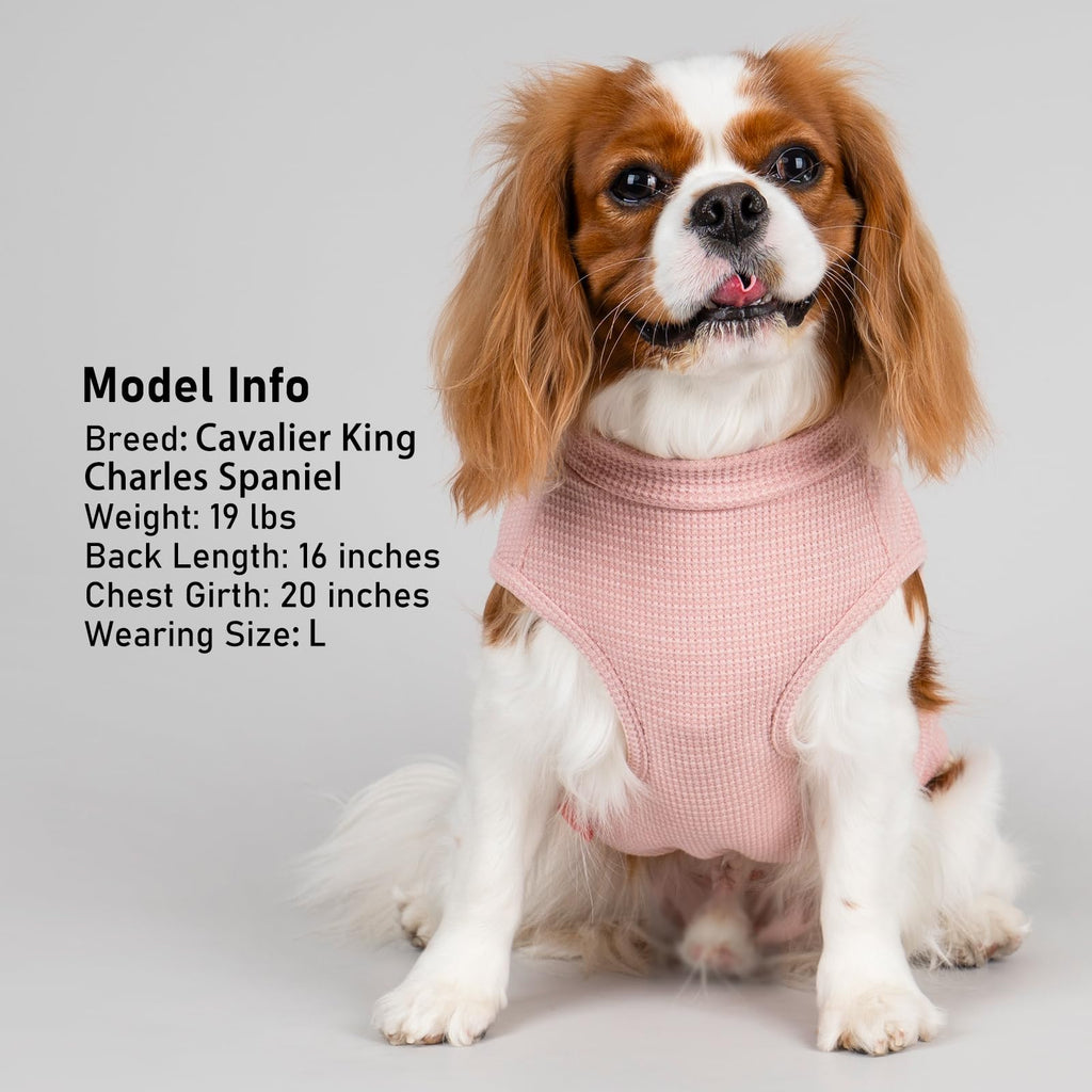 PlaidPup Waffle Vest: Soft, Stretchy, & Cute! - Pet Supplies by Handbags Specialist Headquarter | Available at Handbags Specialist Headquarter