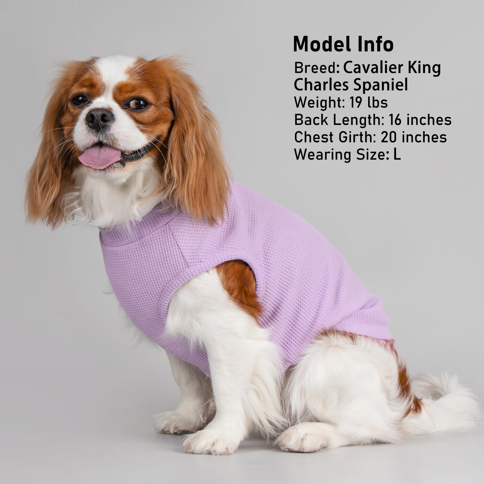 PlaidPup Waffle Vest: Soft, Stretchy, & Cute! - Pet Supplies by Handbags Specialist Headquarter | Available at Handbags Specialist Headquarter