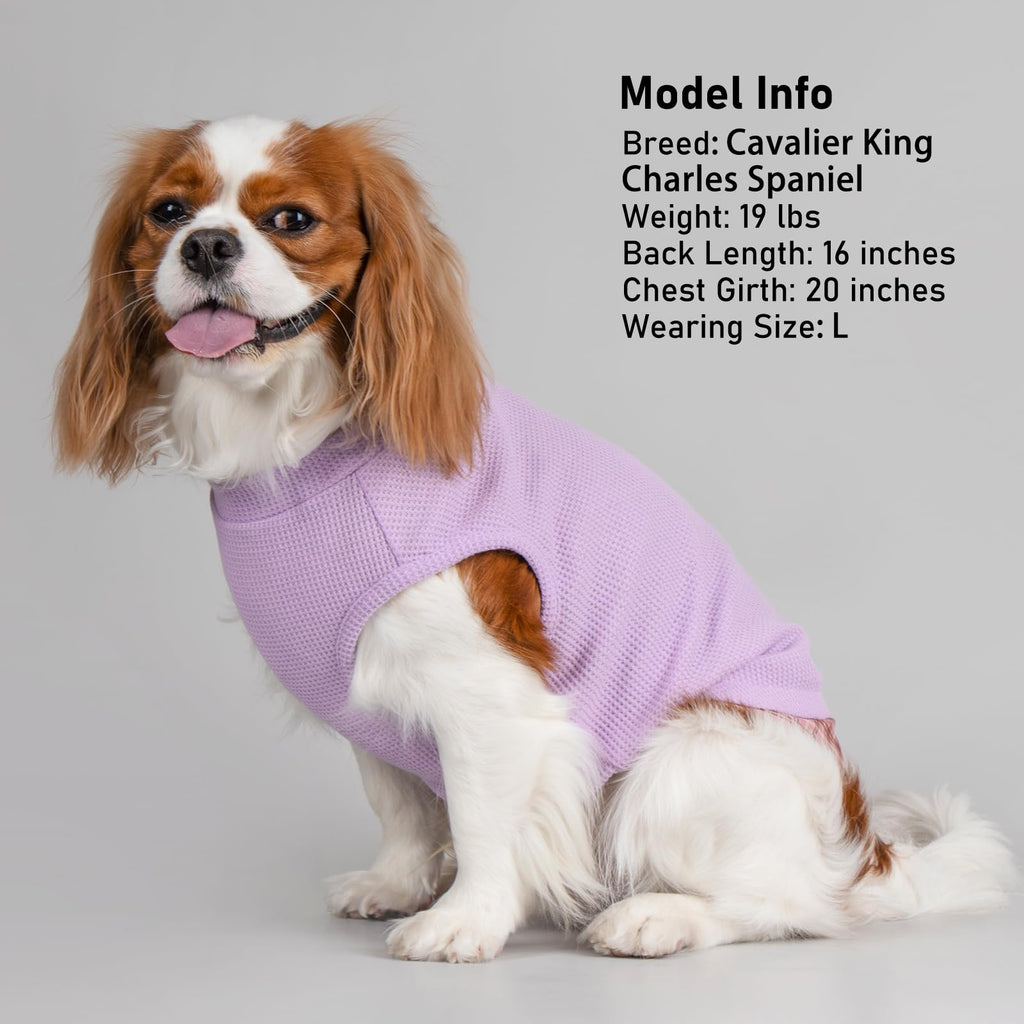 PlaidPup Waffle Vest: Soft, Stretchy, & Cute! - Pet Supplies by Handbags Specialist Headquarter | Available at Handbags Specialist Headquarter