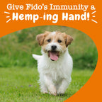 Zesty Paws Itch & Allergy Relief Chews - Lamb 90ct -  by Handbags Specialist Headquarter | Available at Handbags Specialist Headquarter