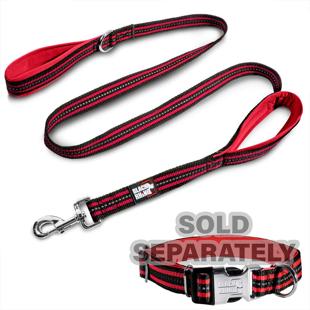 RhinoGrip Aqua: Double Handle Reflective Dog Leash -  by Handbags Specialist Headquarter | Available at Handbags Specialist Headquarter