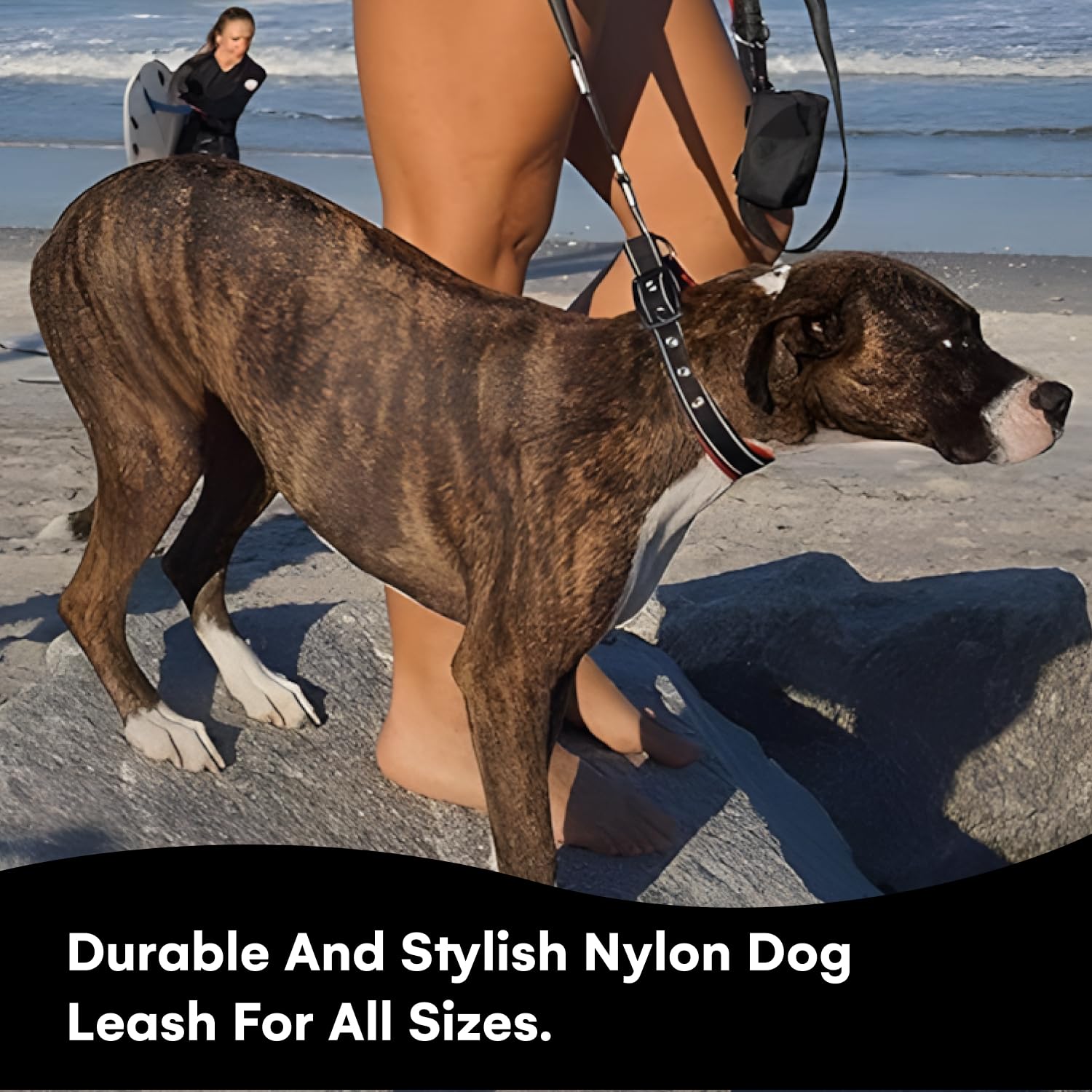 RhinoGrip Aqua: Double Handle Reflective Dog Leash -  by Handbags Specialist Headquarter | Available at Handbags Specialist Headquarter