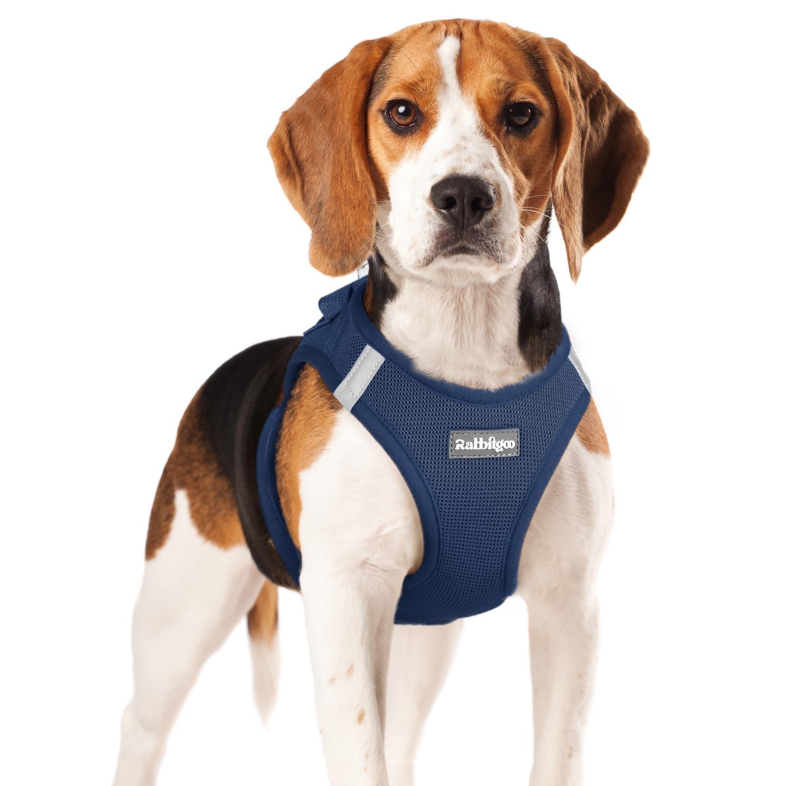 BunnyStep: Reflective Mesh Harness for Small Dogs -  by Handbags Specialist Headquarter | Available at Handbags Specialist Headquarter