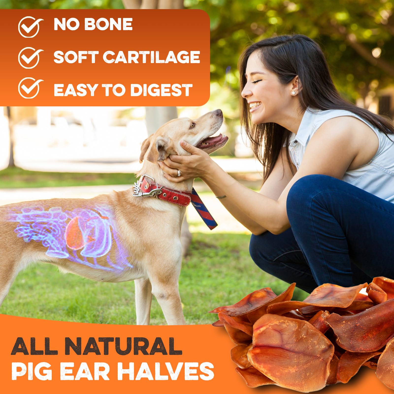 PawSavor Pig Ears: Natural, Tasty Chews for Dogs -  by Handbags Specialist Headquarter | Available at Handbags Specialist Headquarter