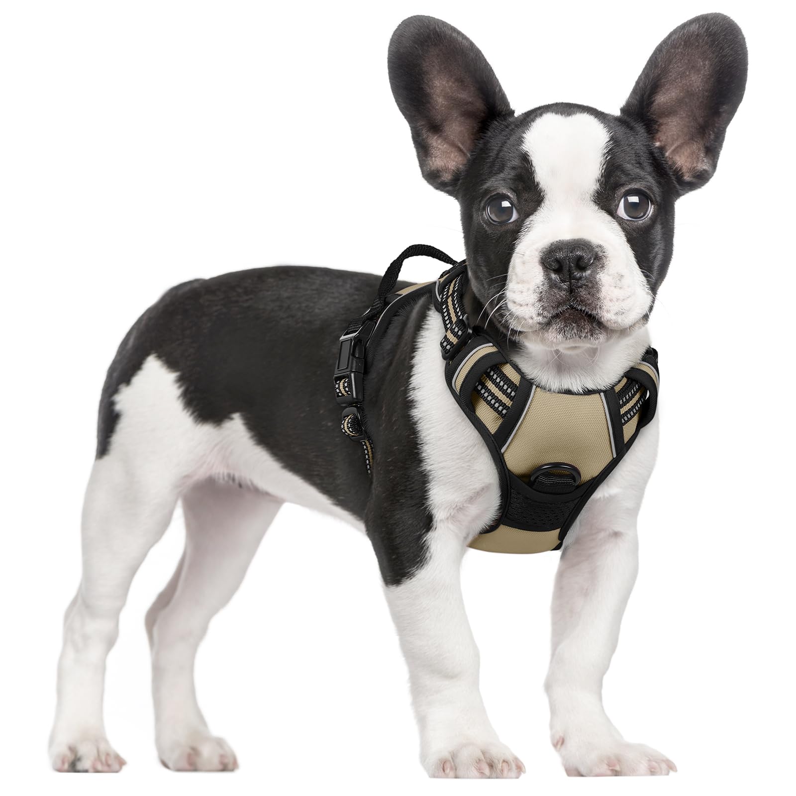 PawGuard No-Pull Reflective Dog Harness - Large Black -  by Handbags Specialist Headquarter | Available at Handbags Specialist Headquarter