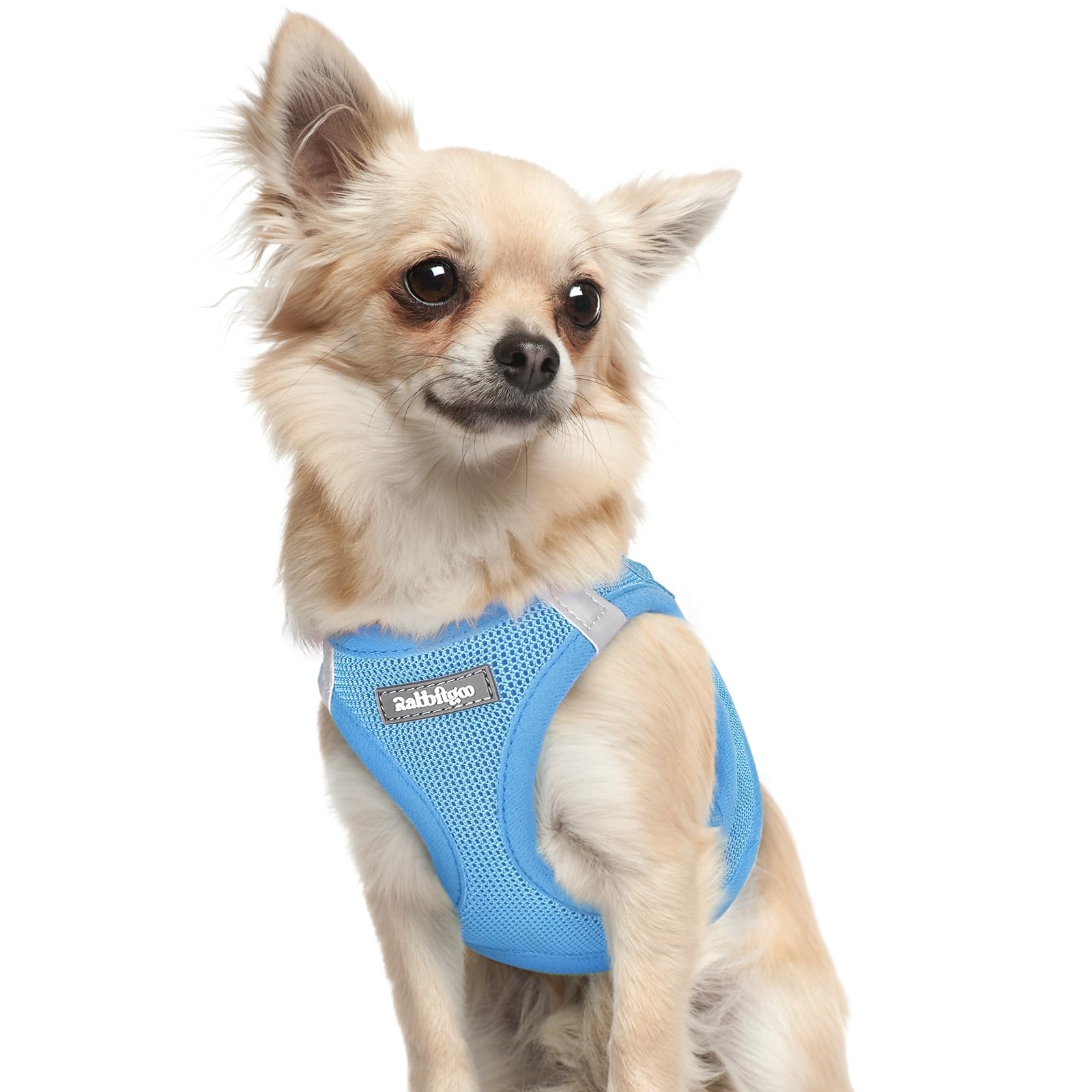 BunnyStep: Reflective Mesh Harness for Small Dogs -  by Handbags Specialist Headquarter | Available at Handbags Specialist Headquarter
