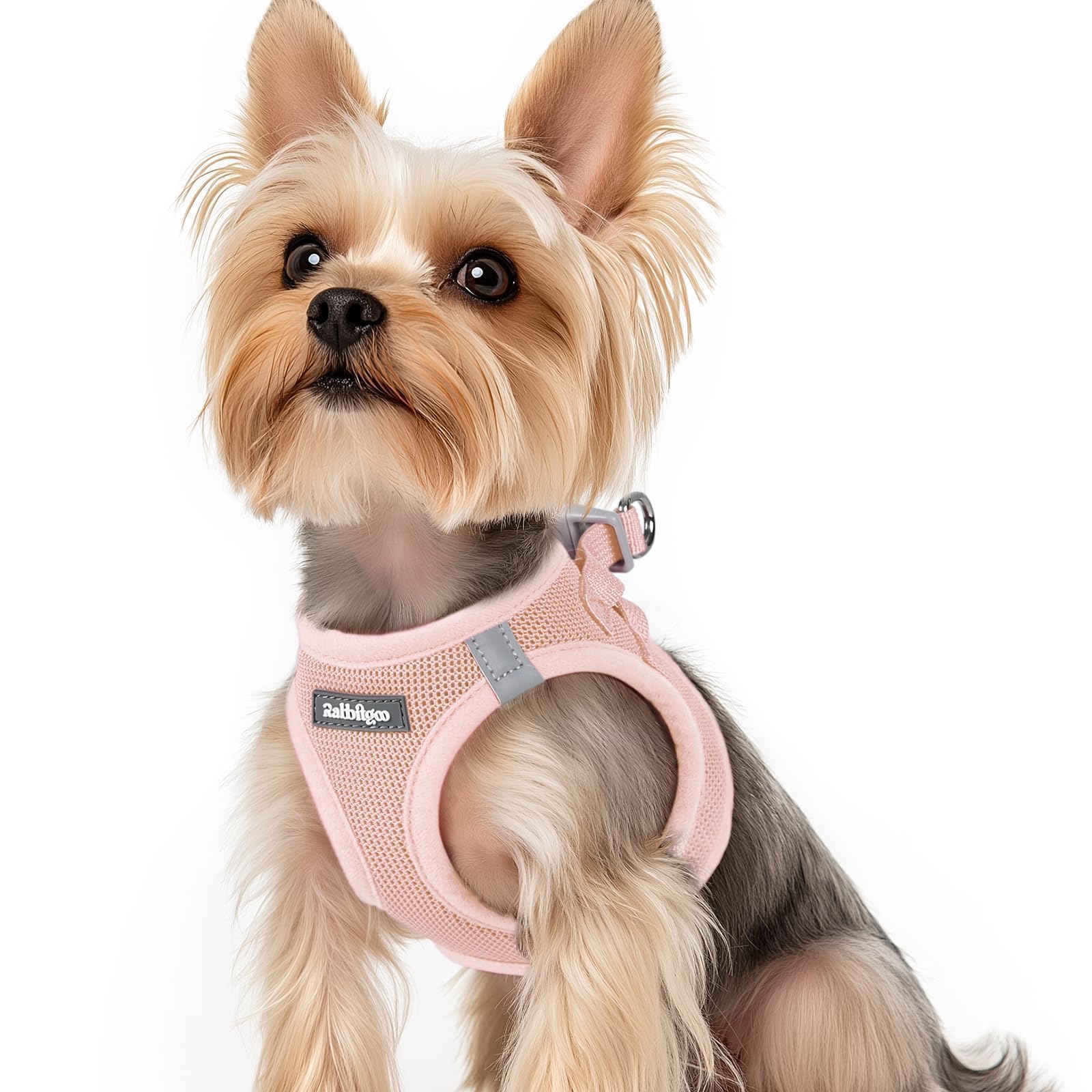 BunnyStep: Reflective Mesh Harness for Small Dogs -  by Handbags Specialist Headquarter | Available at Handbags Specialist Headquarter