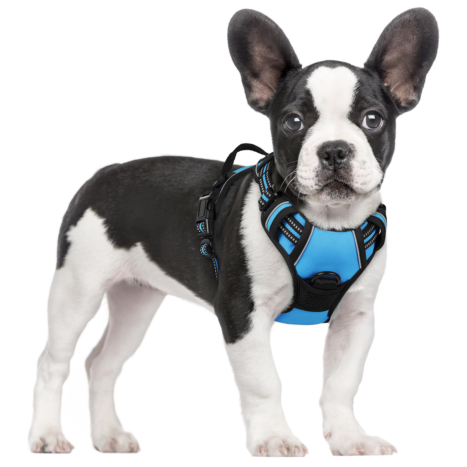 PawGuard No-Pull Reflective Dog Harness - Large Black -  by Handbags Specialist Headquarter | Available at Handbags Specialist Headquarter