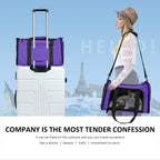 PawsVoyage: Grey TSA-Approved Pet Carrier (15lbs Max) -  by Handbags Specialist Headquarter | Available at Handbags Specialist Headquarter