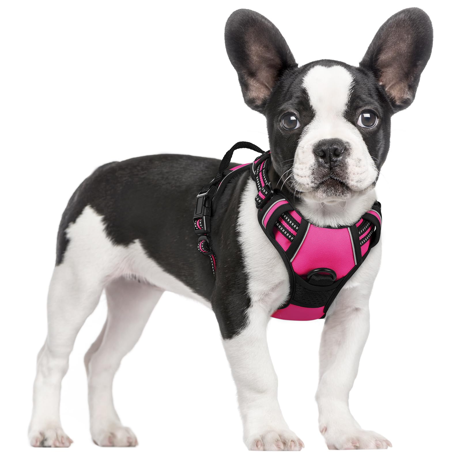 PawGuard No-Pull Reflective Dog Harness - Large Black -  by Handbags Specialist Headquarter | Available at Handbags Specialist Headquarter
