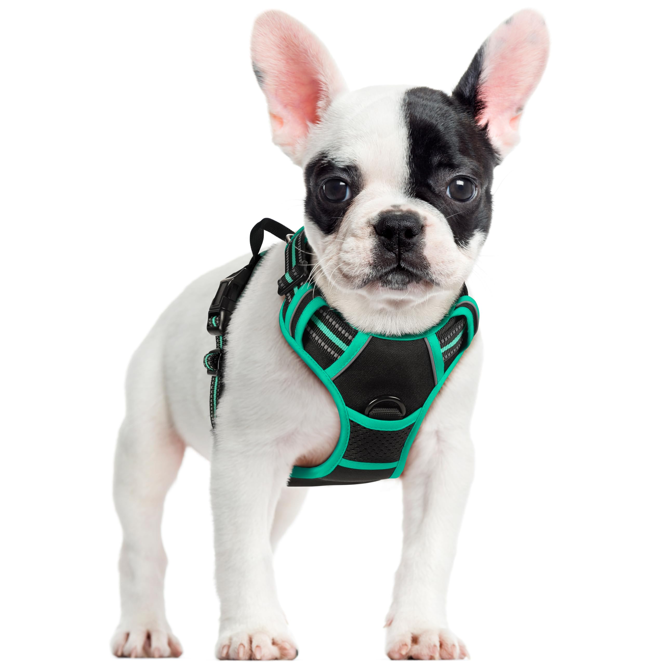 PawGuard No-Pull Reflective Dog Harness - Large Black -  by Handbags Specialist Headquarter | Available at Handbags Specialist Headquarter