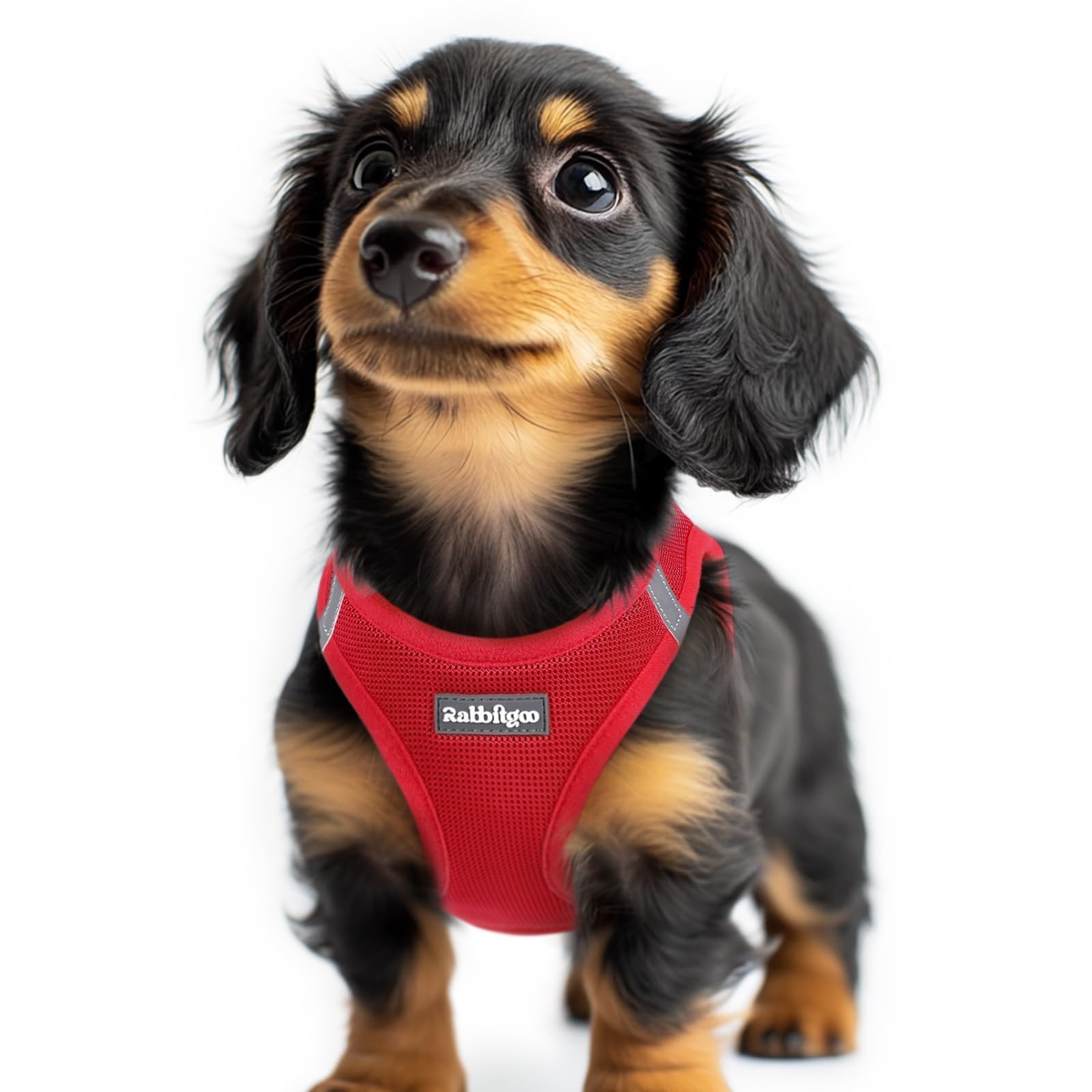 BunnyStep: Reflective Mesh Harness for Small Dogs -  by Handbags Specialist Headquarter | Available at Handbags Specialist Headquarter