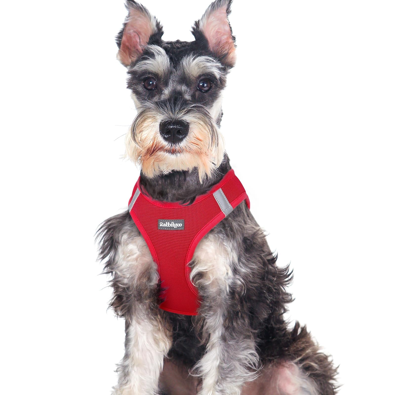 BunnyStep: Reflective Mesh Harness for Small Dogs -  by Handbags Specialist Headquarter | Available at Handbags Specialist Headquarter
