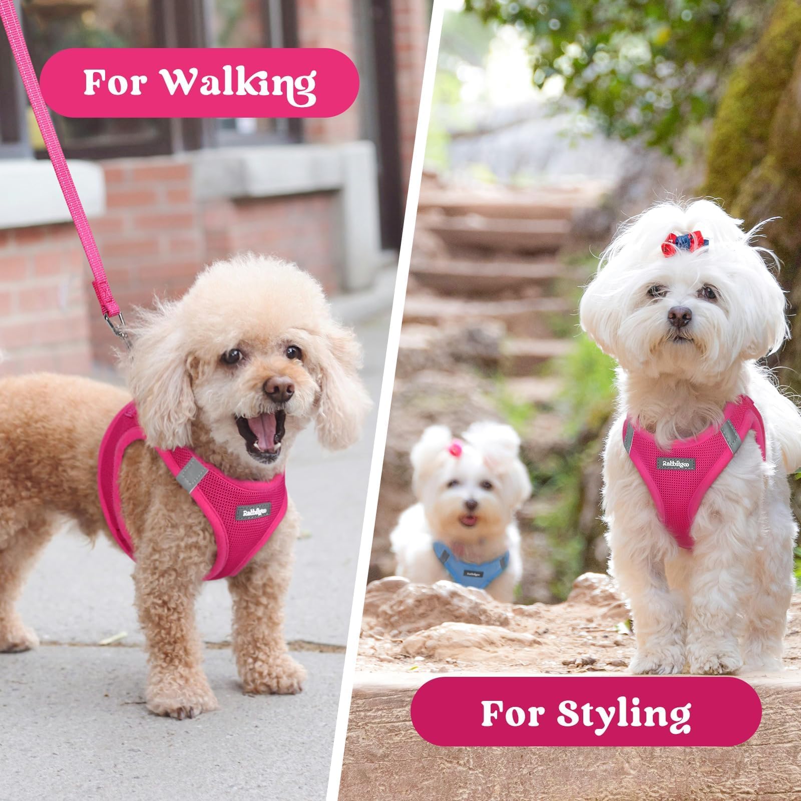 BunnyStep: Reflective Mesh Harness for Small Dogs -  by Handbags Specialist Headquarter | Available at Handbags Specialist Headquarter