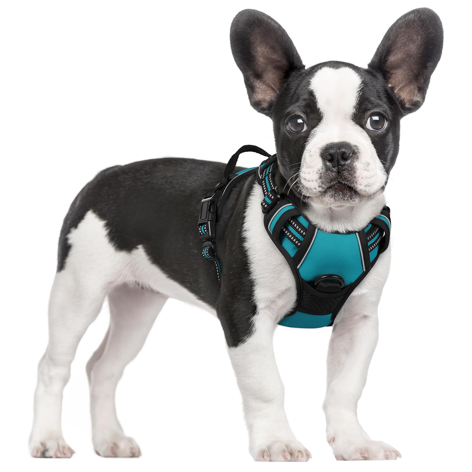 PawGuard No-Pull Reflective Dog Harness - Large Black -  by Handbags Specialist Headquarter | Available at Handbags Specialist Headquarter