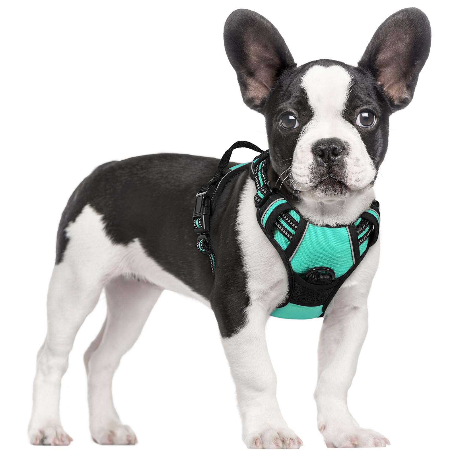 PawGuard No-Pull Reflective Dog Harness - Large Black -  by Handbags Specialist Headquarter | Available at Handbags Specialist Headquarter