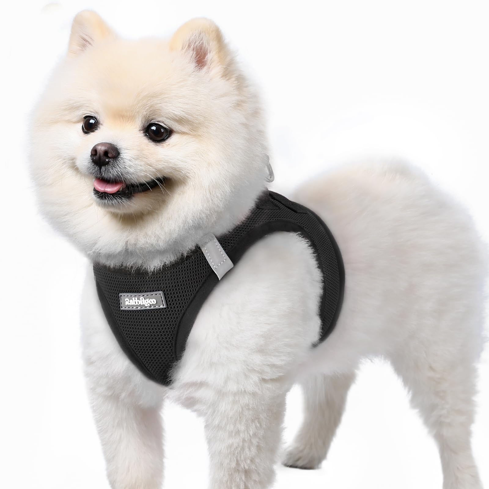 BunnyStep: Reflective Mesh Harness for Small Dogs -  by Handbags Specialist Headquarter | Available at Handbags Specialist Headquarter