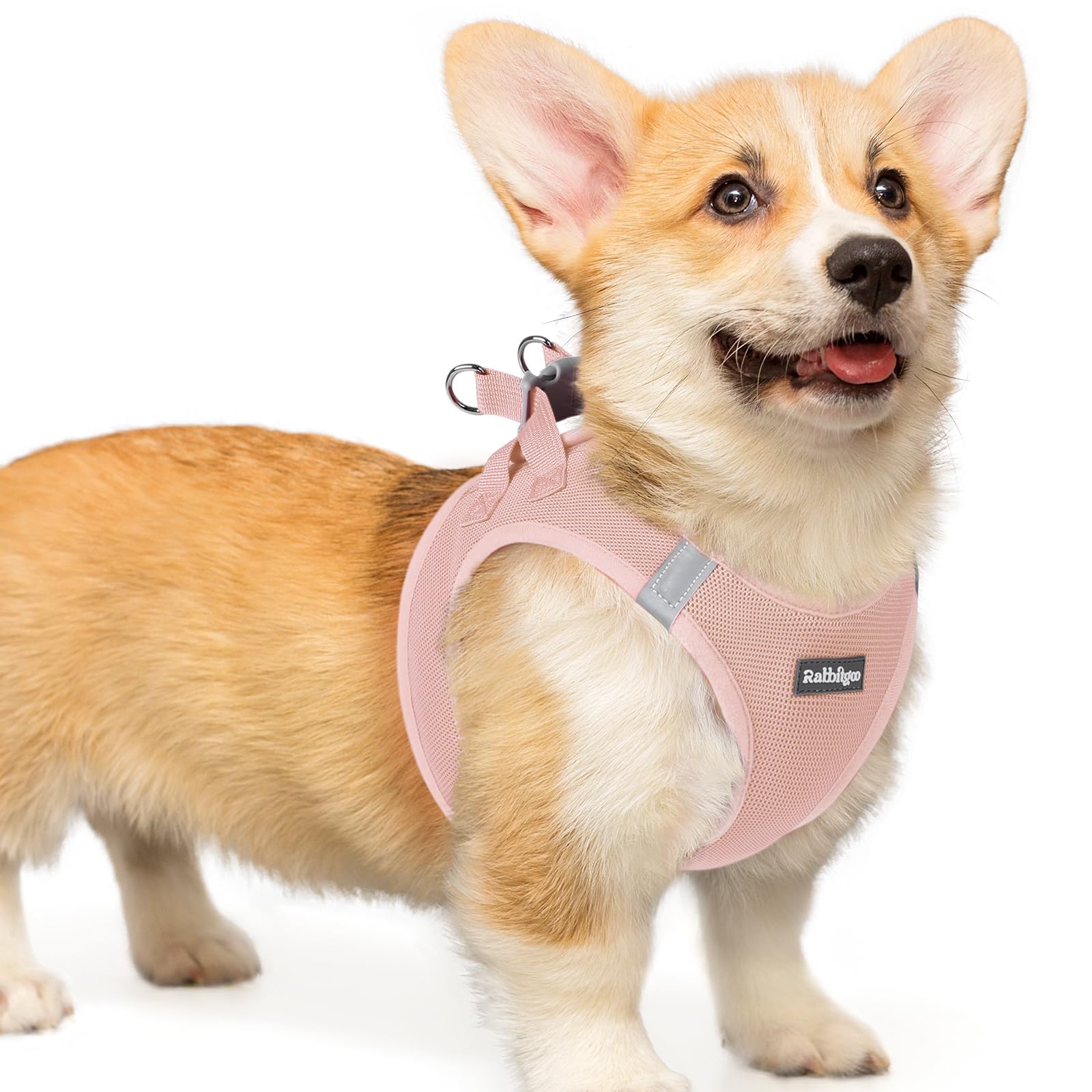 BunnyStep: Reflective Mesh Harness for Small Dogs -  by Handbags Specialist Headquarter | Available at Handbags Specialist Headquarter