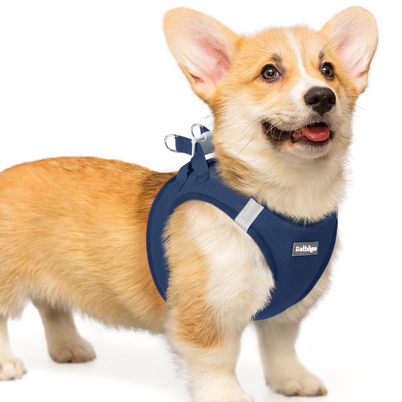 BunnyStep: Reflective Mesh Harness for Small Dogs -  by Handbags Specialist Headquarter | Available at Handbags Specialist Headquarter