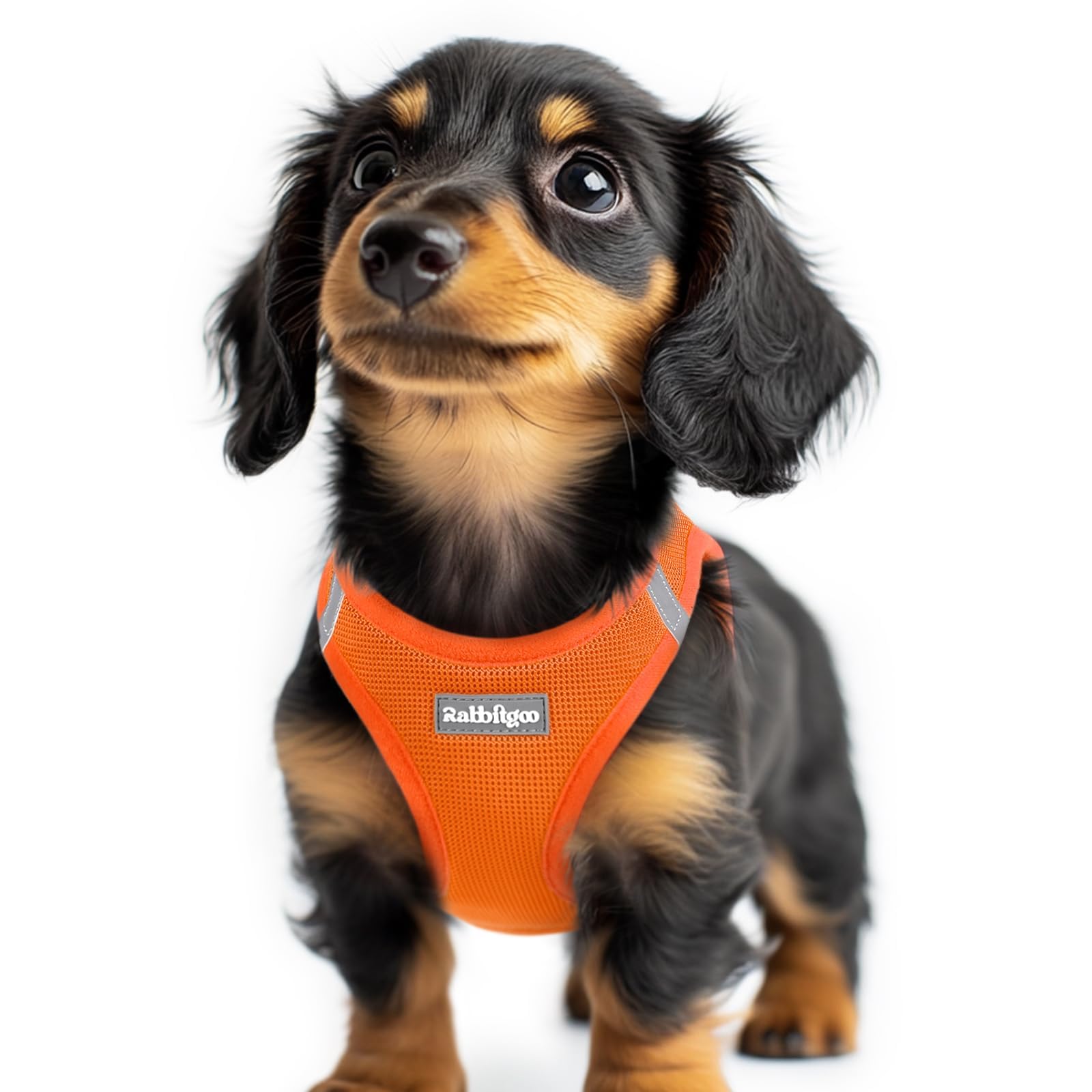 BunnyStep: Reflective Mesh Harness for Small Dogs -  by Handbags Specialist Headquarter | Available at Handbags Specialist Headquarter