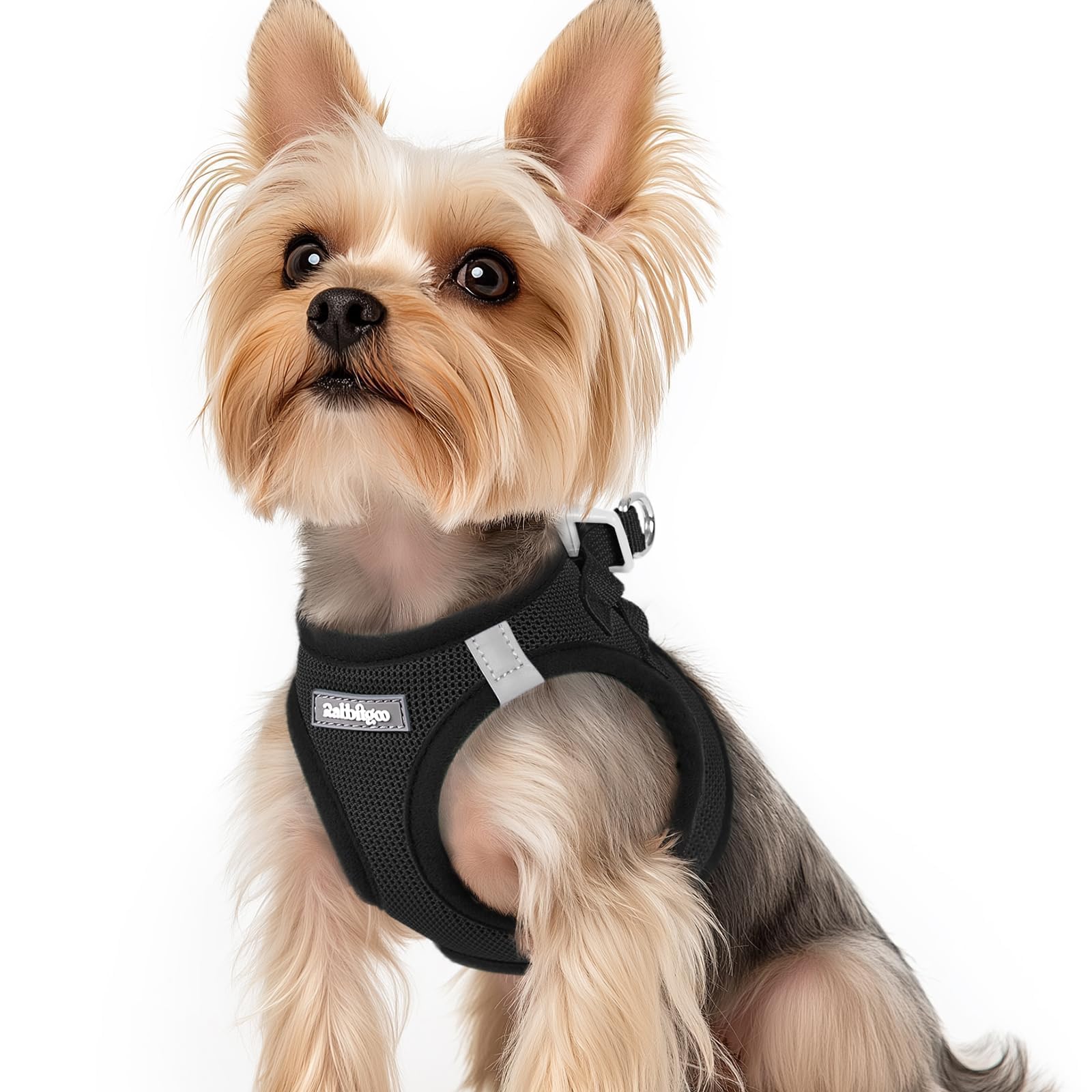 BunnyStep: Reflective Mesh Harness for Small Dogs -  by Handbags Specialist Headquarter | Available at Handbags Specialist Headquarter