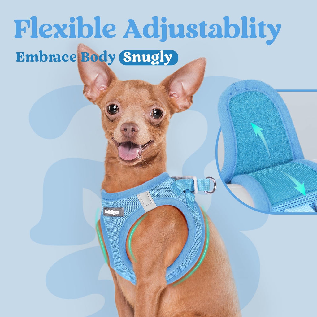 BunnyStep: Reflective Mesh Harness for Small Dogs -  by Handbags Specialist Headquarter | Available at Handbags Specialist Headquarter