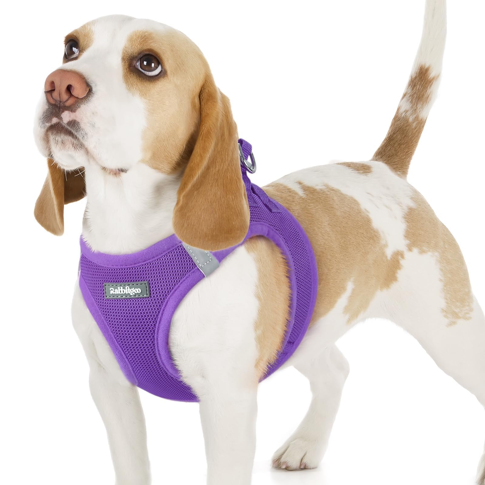 BunnyStep: Reflective Mesh Harness for Small Dogs -  by Handbags Specialist Headquarter | Available at Handbags Specialist Headquarter