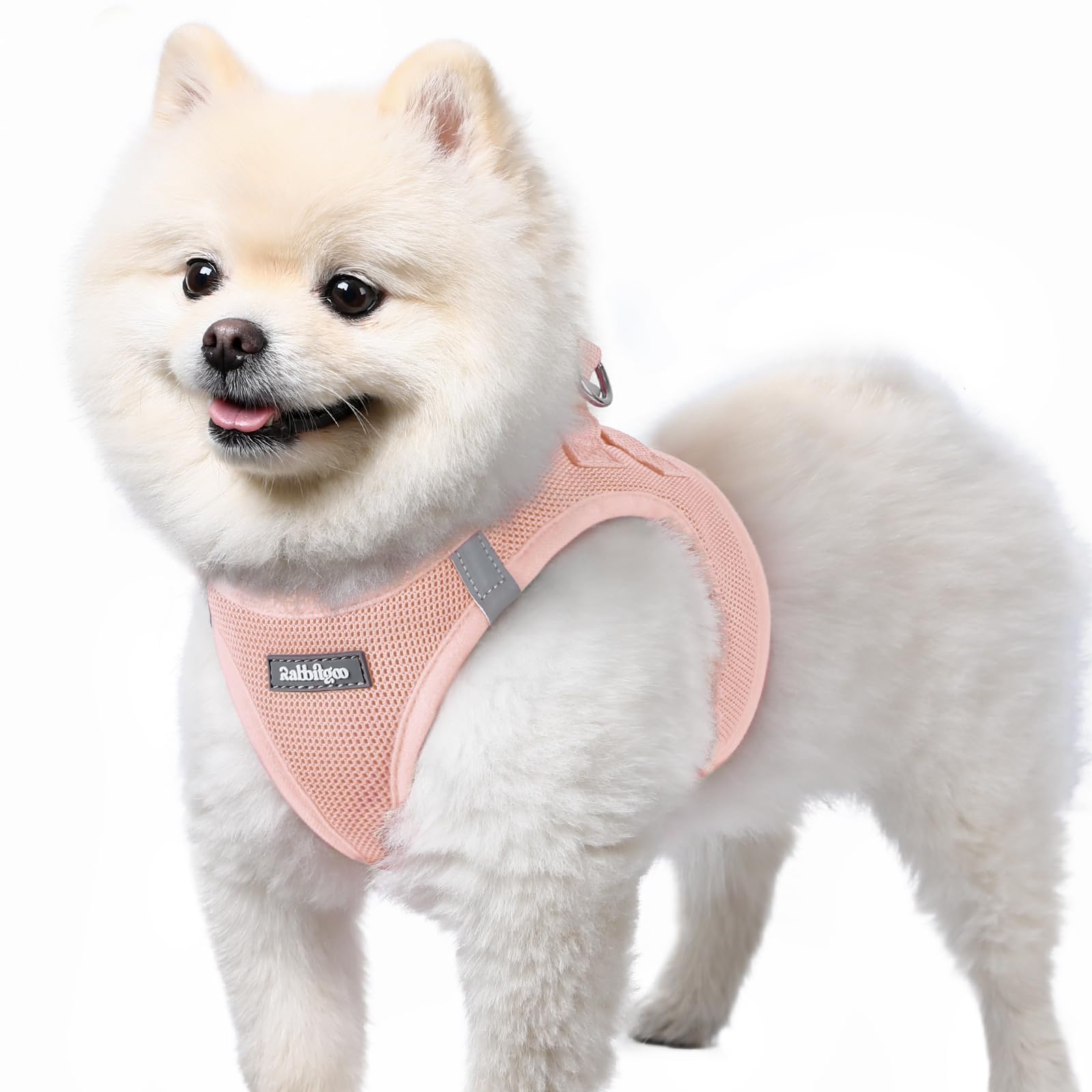 BunnyStep: Reflective Mesh Harness for Small Dogs -  by Handbags Specialist Headquarter | Available at Handbags Specialist Headquarter