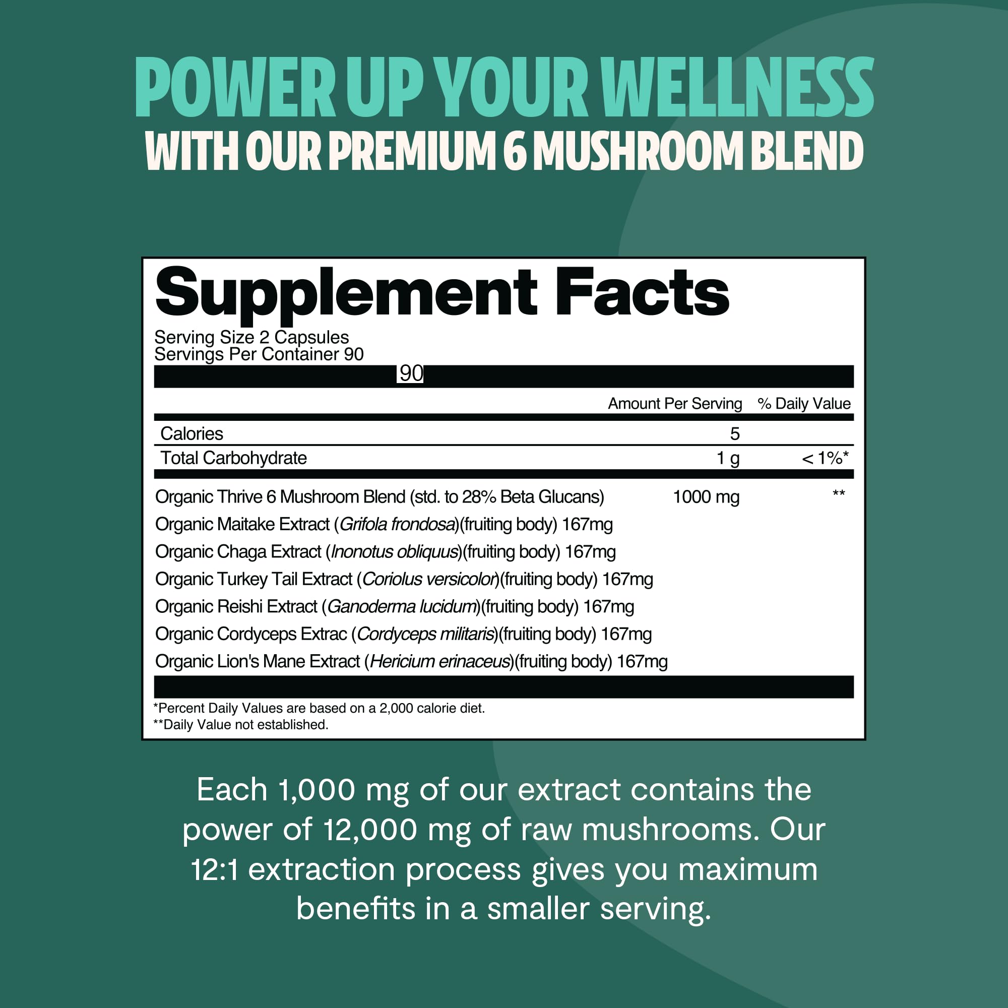 MushroomMind: Ultimate Nootropic Focus Formula - Health-Care by Handbags Specialist Headquarter | Available at Handbags Specialist Headquarter