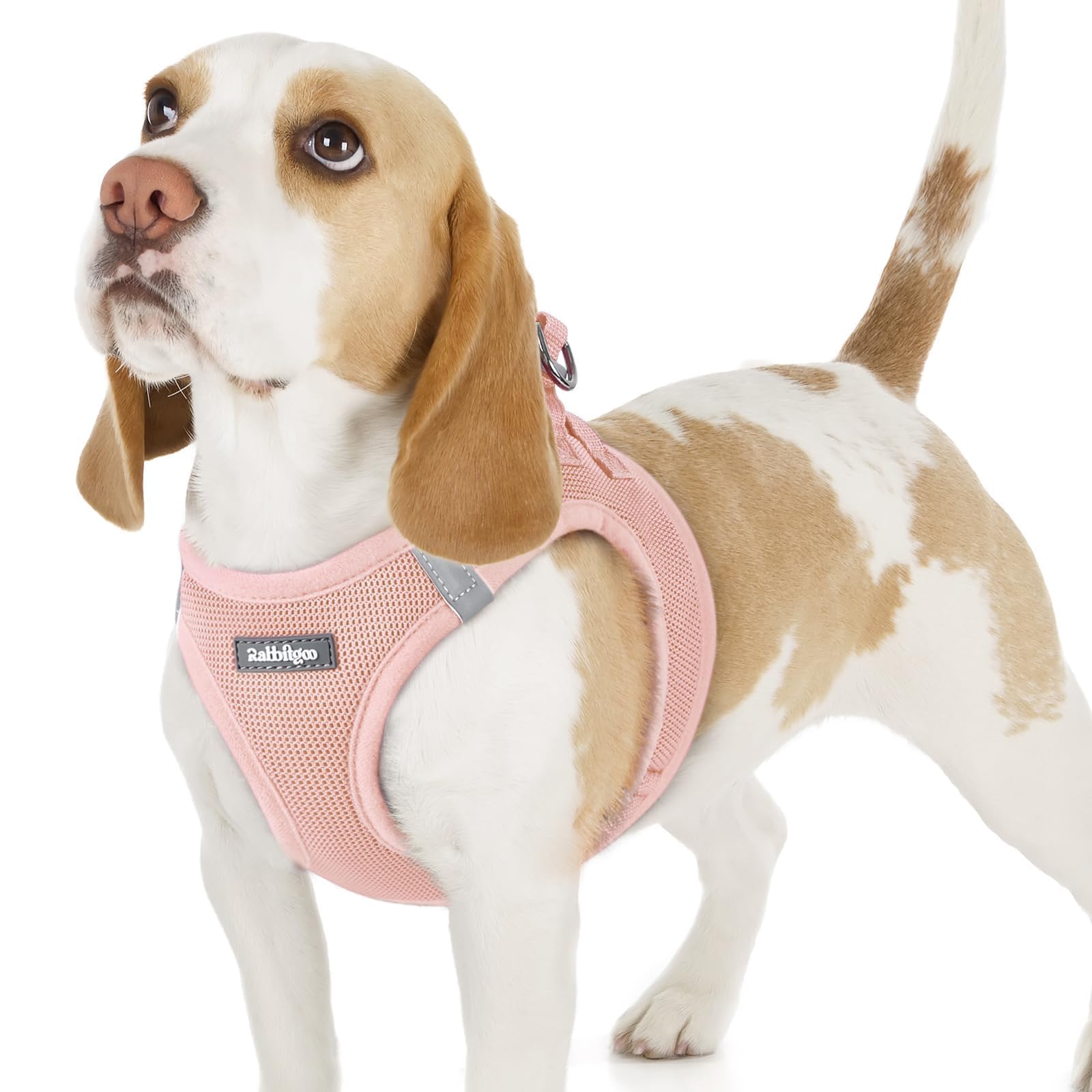 BunnyStep: Reflective Mesh Harness for Small Dogs -  by Handbags Specialist Headquarter | Available at Handbags Specialist Headquarter