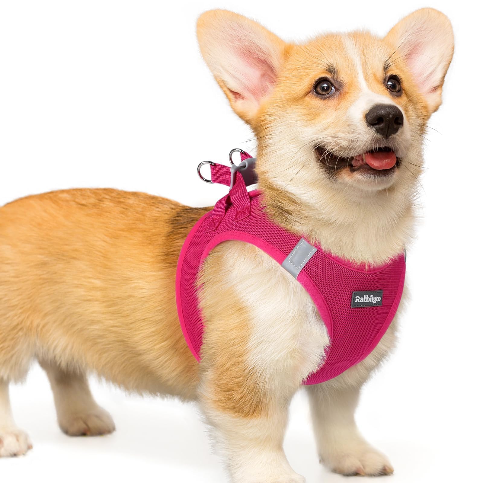 BunnyStep: Reflective Mesh Harness for Small Dogs -  by Handbags Specialist Headquarter | Available at Handbags Specialist Headquarter