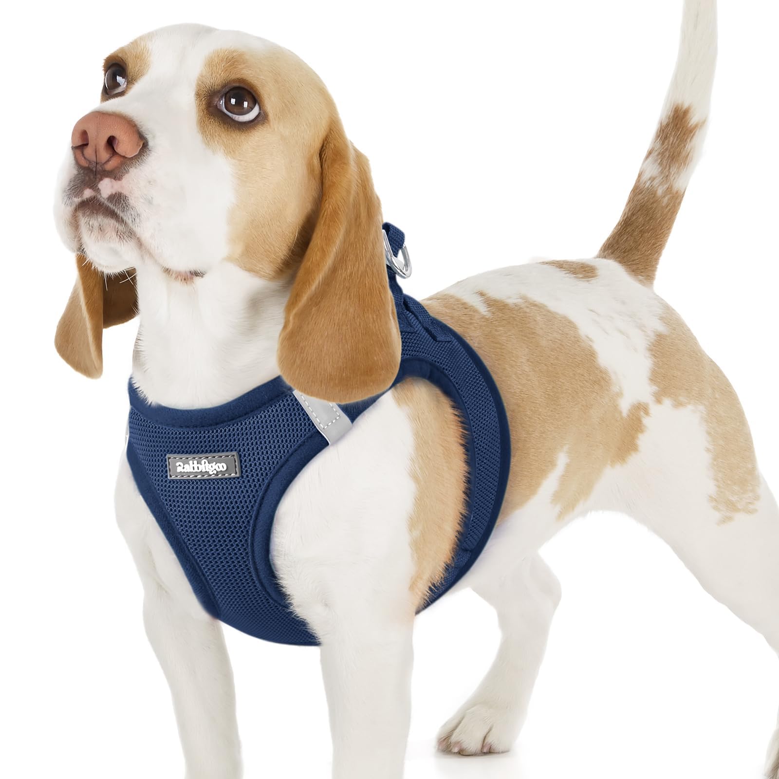 BunnyStep: Reflective Mesh Harness for Small Dogs -  by Handbags Specialist Headquarter | Available at Handbags Specialist Headquarter