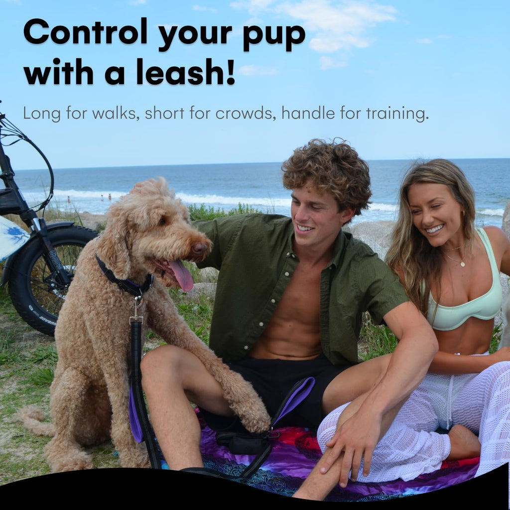 RhinoGrip Aqua: Double Handle Reflective Dog Leash -  by Handbags Specialist Headquarter | Available at Handbags Specialist Headquarter